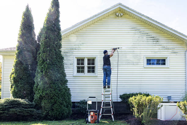 Best Spring Cleaning  in Roland, OK